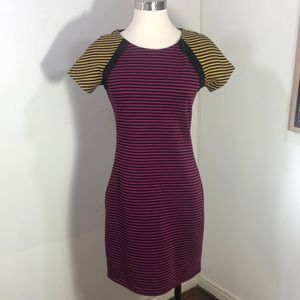Lucca Couture Contrast Striped Sheath